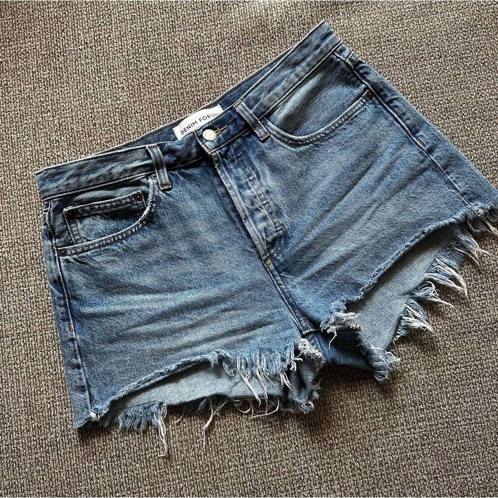 Aritzia Denim High Rise Shorts